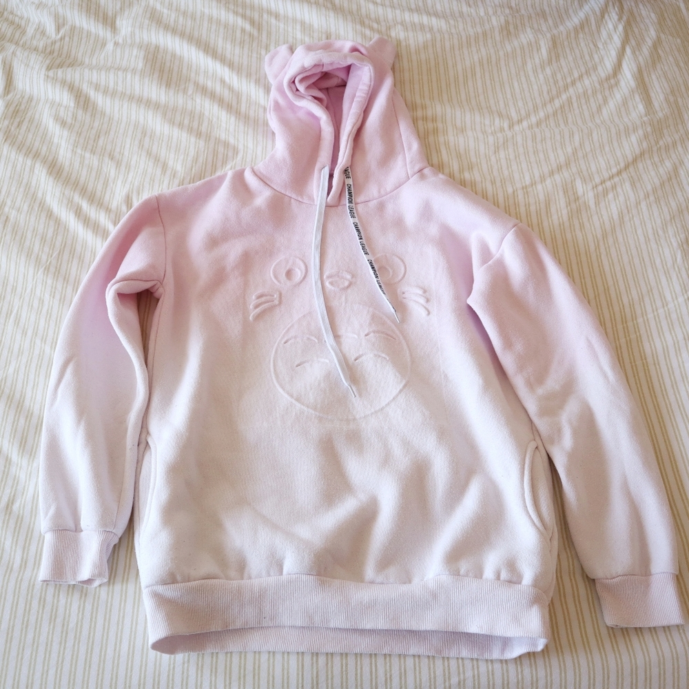 Pink Ombre Totoro Hoodie